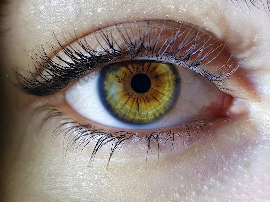 Gros plan d'un œil droit de couleur brun vert d'une femme